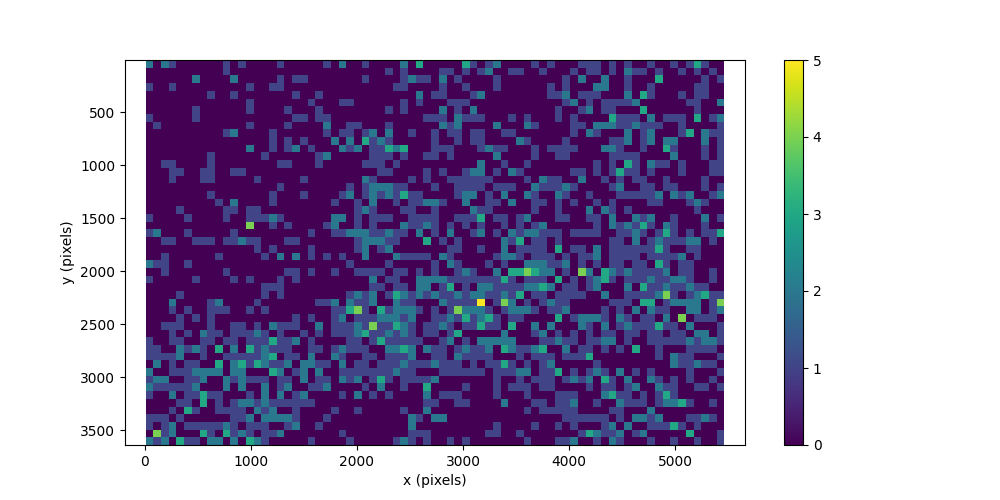 coco bbox ethology and movement
