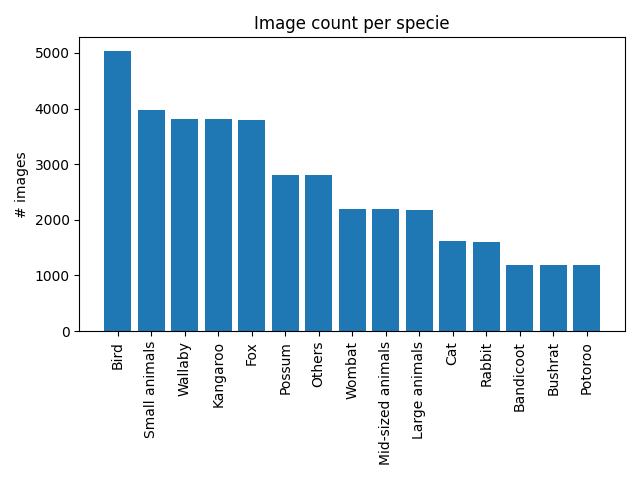 Image count per specie